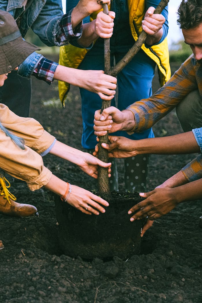 Services-02 A diverse group working together to plant a tree, symbolizing teamwork and sustainability.
